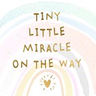 zwangerschap aankondiging tint little miracle on the way